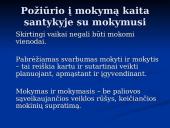 Šiuolaikinės mokymo ir mokymosi strategijos 6 puslapis