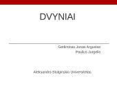 Dvyniai