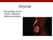 Dvyniai 3 puslapis