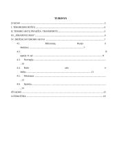 Didžiausi teroro aktai