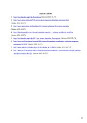 Didžiausi teroro aktai 15 puslapis