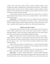 Mineralų ir uolienų skirstymas 5 puslapis