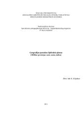 Geografijos pamokos išplėstinis planas (Afrika: gyventojai, rasės, tautos, kalbos)