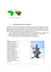 Geografijos pamokos išplėstinis planas (Afrika: gyventojai, rasės, tautos, kalbos) 4 puslapis