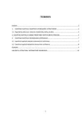 Gamtinis kapitalas ekonomikoje 2 puslapis