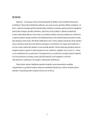 Gamtinis kapitalas ekonomikoje 3 puslapis