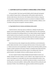 Gamtinis kapitalas ekonomikoje 4 puslapis