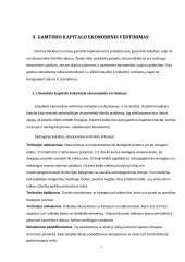 Gamtinis kapitalas ekonomikoje 7 puslapis
