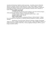 Visuotinė literatūra. XIX amžius 2 puslapis