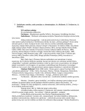 Visuotinė literatūra. XIX amžius 13 puslapis