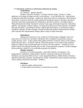 Visuotinė literatūra. XIX amžius 15 puslapis