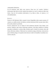 Referatas - Darbo sutartis 18 puslapis