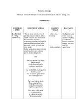 Aiškinamojo diktanto aprašas 2 puslapis