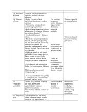 Aiškinamojo diktanto aprašas 4 puslapis