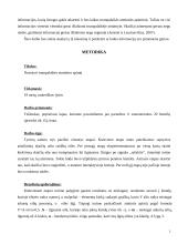 Trumpalaikės atminties apimtis, jos funkcijos 3 puslapis