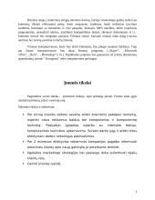 Interneto kavinės verslo planas  3 puslapis