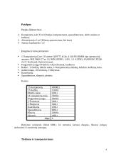 Interneto kavinės verslo planas  6 puslapis