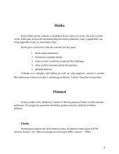 Interneto kavinės verslo planas  8 puslapis