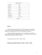 Interneto kavinės verslo planas  9 puslapis