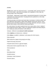 Veislyno verslo planas 3 puslapis