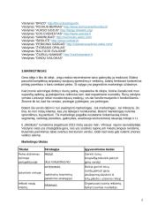 Veislyno verslo planas 6 puslapis