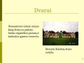 Romantizmas Lietuvoje 11 puslapis