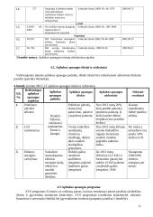 Aplinkos apsaugos vadybos sistemos ISO 14 001:2004 diegimas medienos gaminių įmonėje 11 puslapis