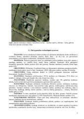 Aplinkos apsaugos vadybos sistemos ISO 14 001:2004 diegimas medienos gaminių įmonėje 3 puslapis