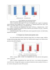 X įmonės metų finansinės atskaitomybės duomenų rezultatų analizė 3 puslapis