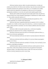 X įmonės metų finansinės atskaitomybės duomenų rezultatų analizė 9 puslapis