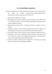 Demokratija referatas 13 puslapis