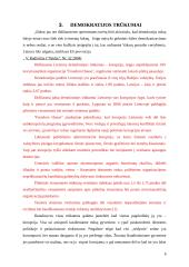 Demokratija referatas 6 puslapis