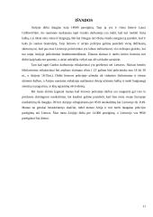 Airijos teisėsauga 11 puslapis