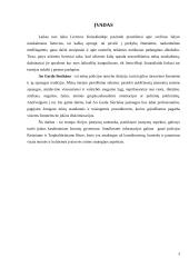 Airijos teisėsauga 3 puslapis