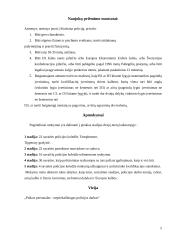 Airijos teisėsauga 5 puslapis