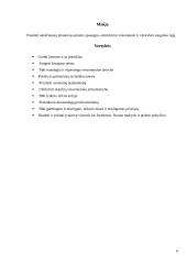 Airijos teisėsauga 6 puslapis