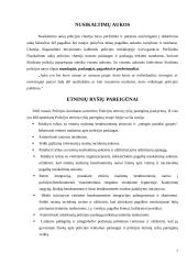 Airijos teisėsauga 7 puslapis