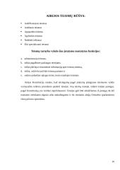 Airijos teisėsauga 10 puslapis