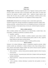 Mirties sociologija: mirties kultūra ir jos kaita Lietuvoje 4 puslapis