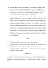 Mirties sociologija: mirties kultūra ir jos kaita Lietuvoje 6 puslapis