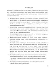 Mirties sociologija: mirties kultūra ir jos kaita Lietuvoje 7 puslapis
