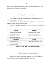 UAB “Vaidas ir Ko" konkurentų analizė 16 puslapis