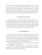 UAB “Vaidas ir Ko" konkurentų analizė 5 puslapis