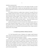 UAB “Vaidas ir Ko" konkurentų analizė 7 puslapis