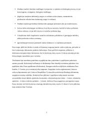 Įmonės darbuotojų saugos ir sveikatos būklės pasas ir jo pildymo tvarka 2 puslapis