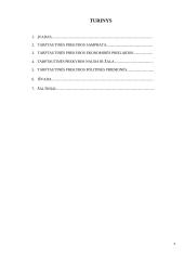 Tarptautinė prekyba: samprata, prielaidos 2 puslapis