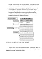 Tarptautinė prekyba: samprata, prielaidos 9 puslapis