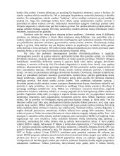 Esė ,,Aplinka, laikas ir erdvė globalioje epochoje“ 4 puslapis