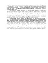 Esė ,,Aplinka, laikas ir erdvė globalioje epochoje“ 6 puslapis