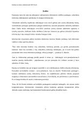 E-paslaugų plėtra Lietuvoje 3 puslapis